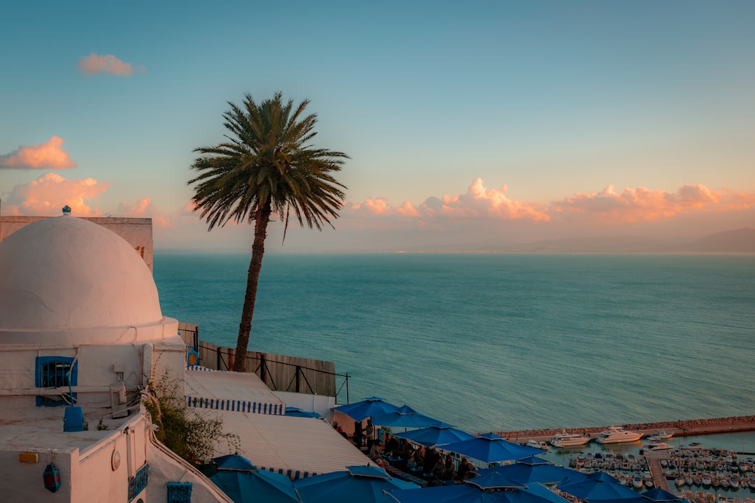 Sidi Bou Said, il pittoresco villaggio bianco e blu della Tunisia