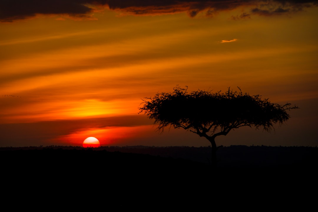 Safari al tramonto nel Masai Mara con elefanti in Kenya