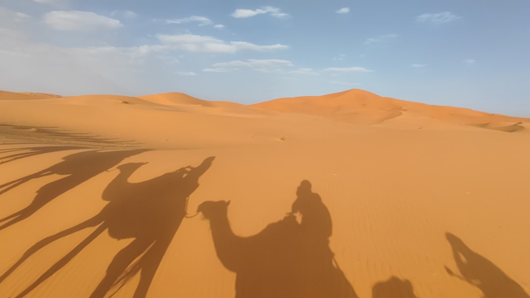 Tramonto nel deserto del Marocco con cammelli in famiglia